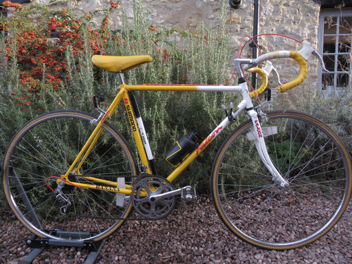 Falcon Team Banana Reynolds 500