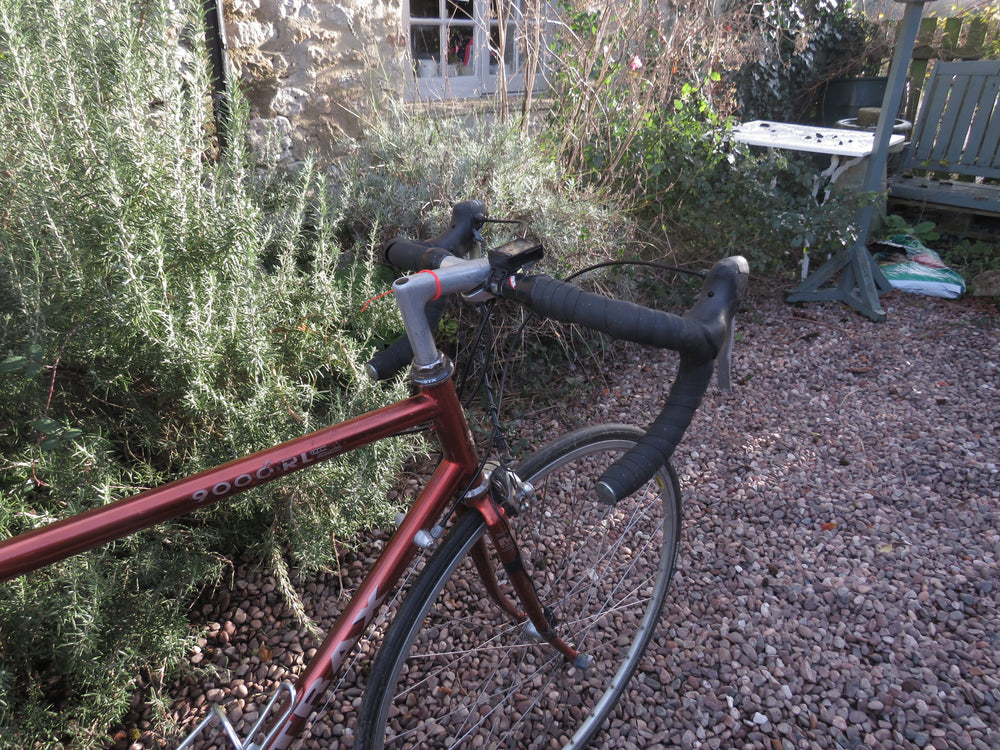 Raleigh M-Trax 900 RL road