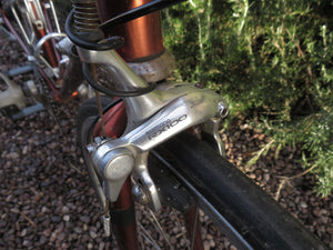 Raleigh M-Trax 900 RL road