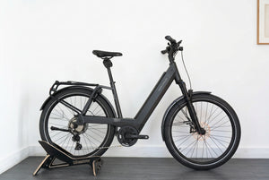 Riese & Muller Nevo4 GT 750Wh Bosch Utility