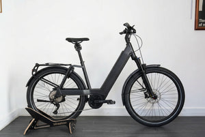 Riese & Muller Nevo4 GT 750Wh Bosch Utility