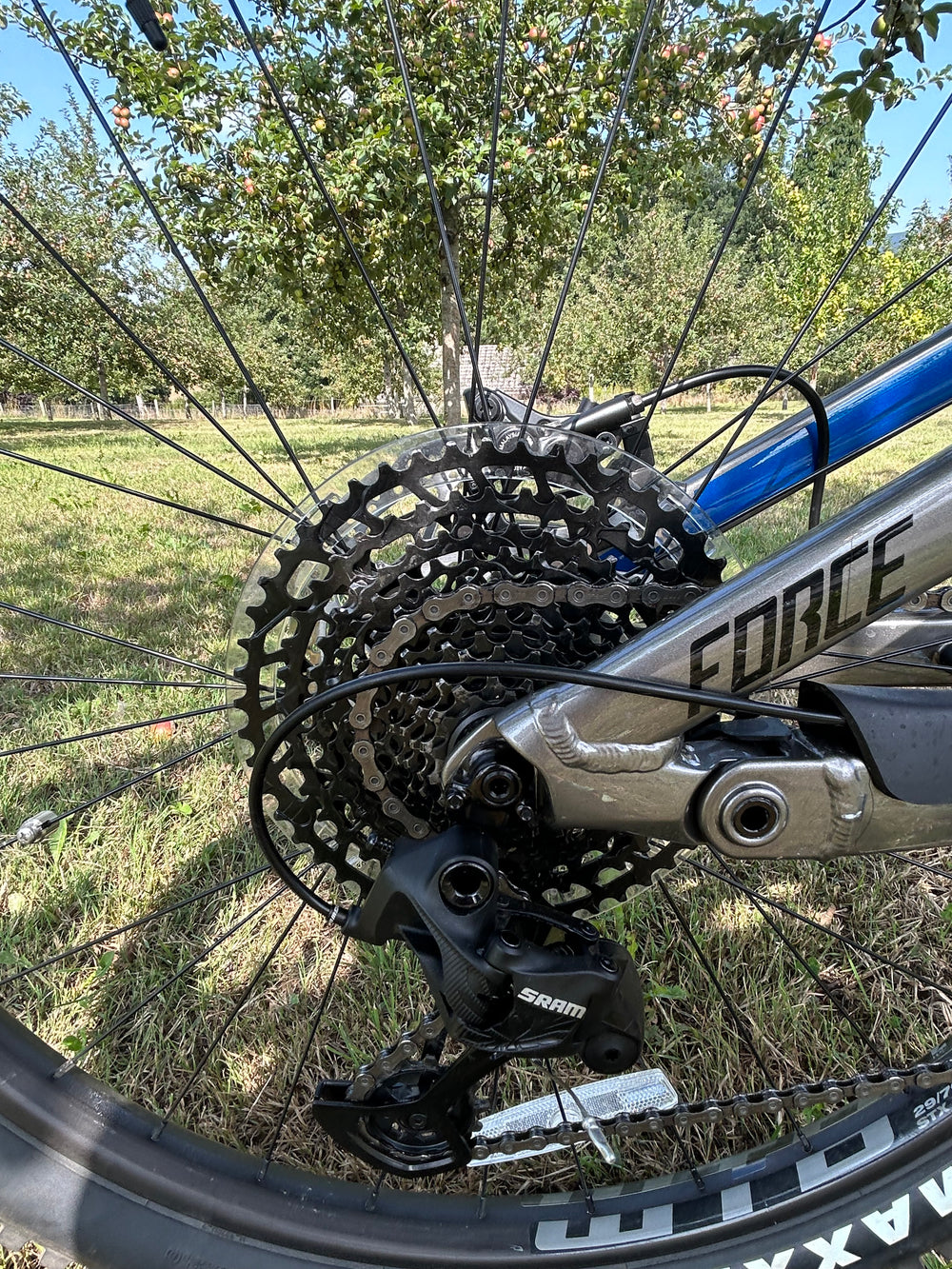 GT eForce Amp+ 2022