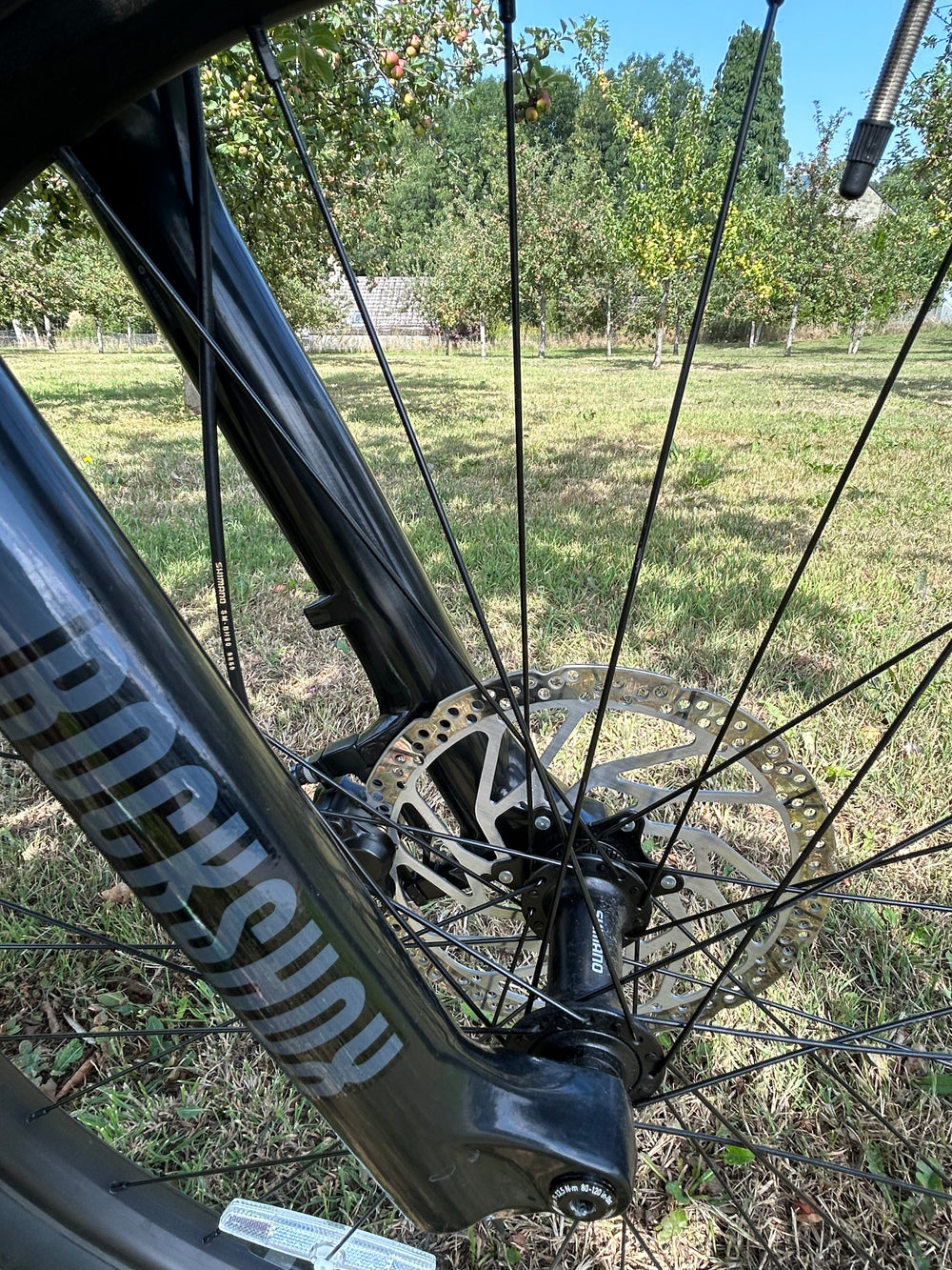 GT eForce Amp+ 2022