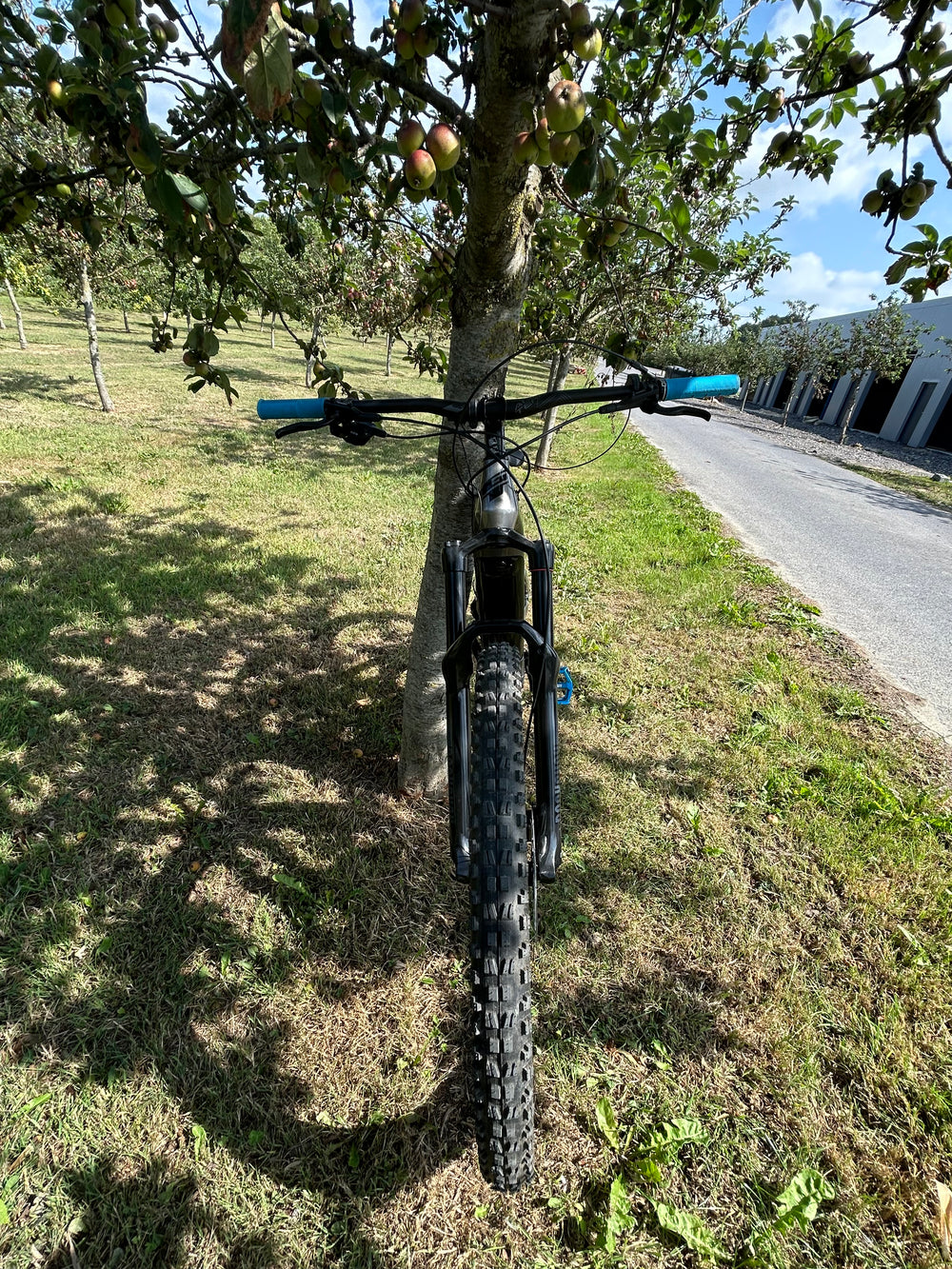 GT eForce Amp+ 2022