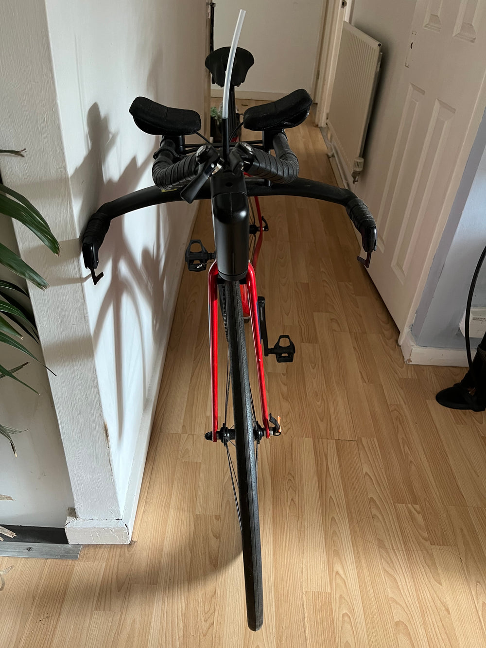 Giant Trinity Advanced Pro 2 2022