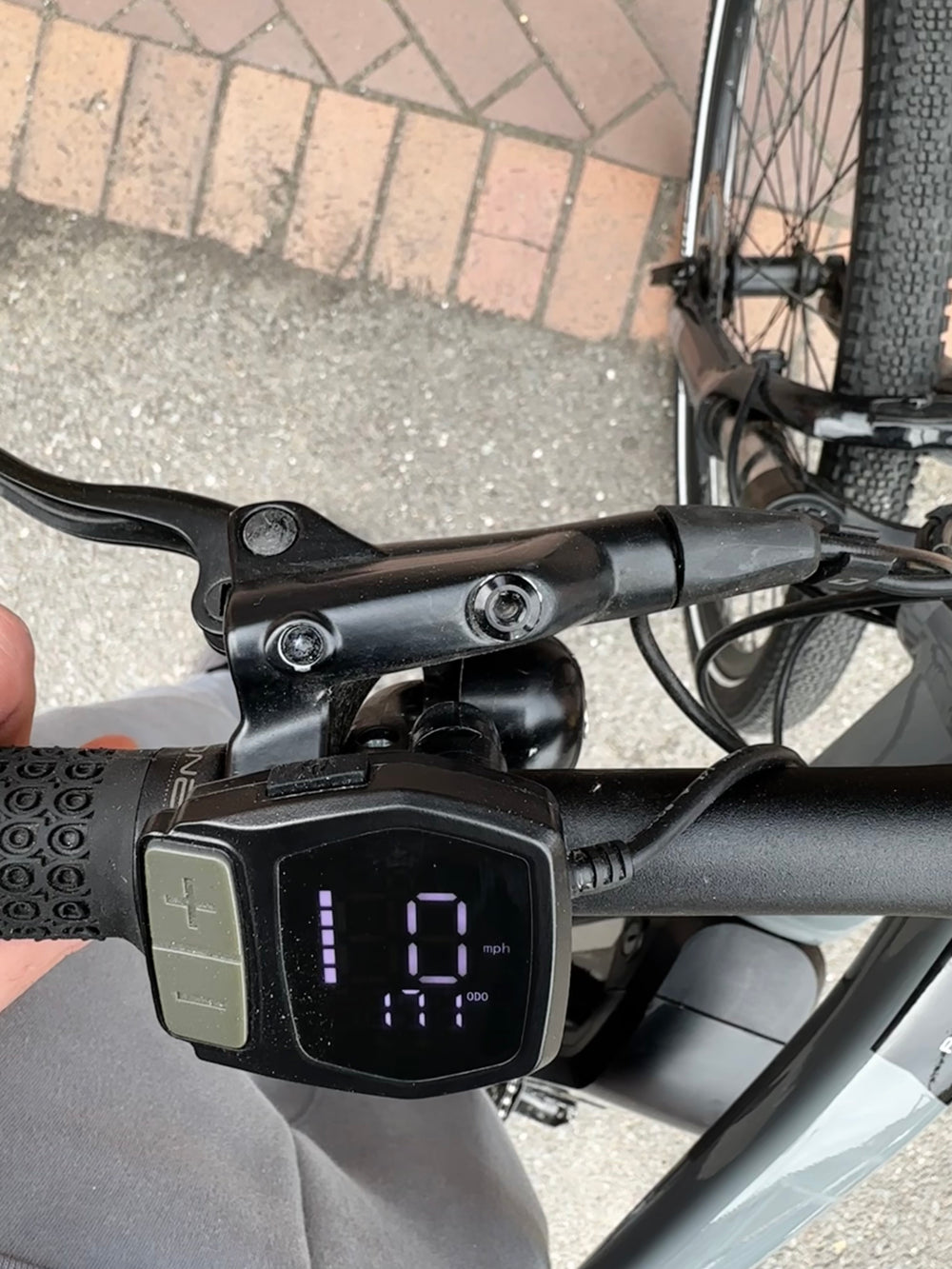 Ridgeback Arcus 1 Crossbar 2022