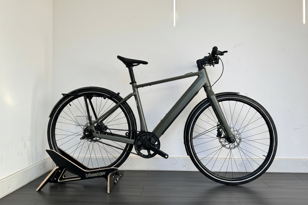 Riese & Muller UBN Five Silent Shimano Alfine Belt Drive Fazua