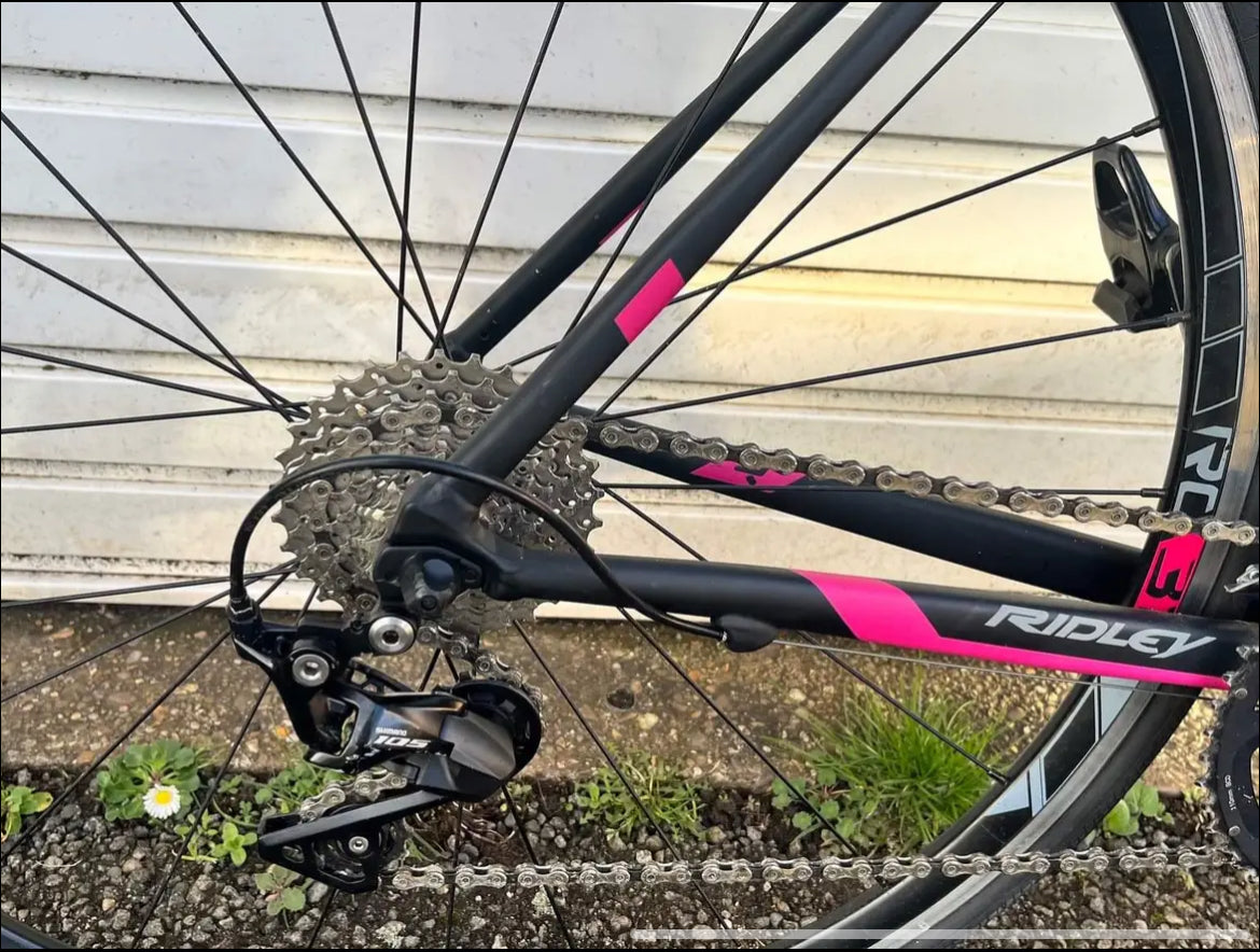 Ridley Liz A - 105 ML 2019