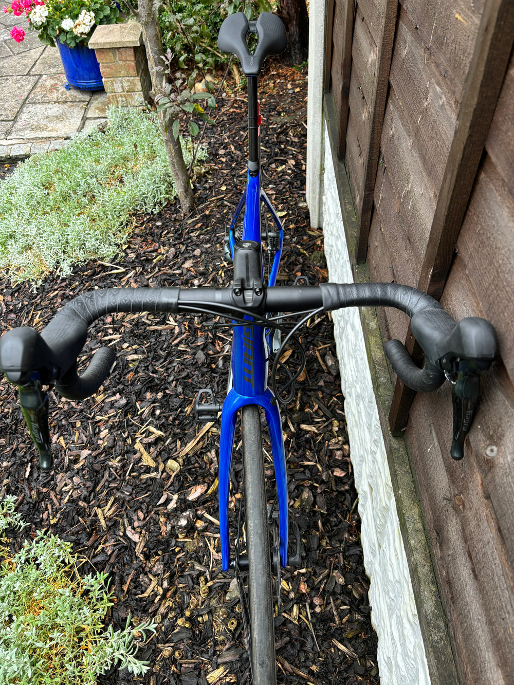 Giant TCR Advanced 3 Disc 2021