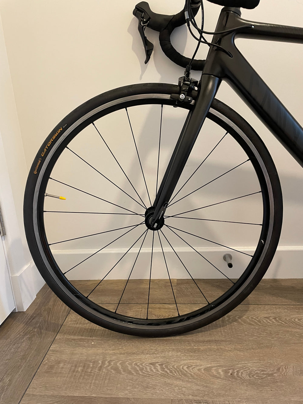 Canyon Endurace CF 7 2020