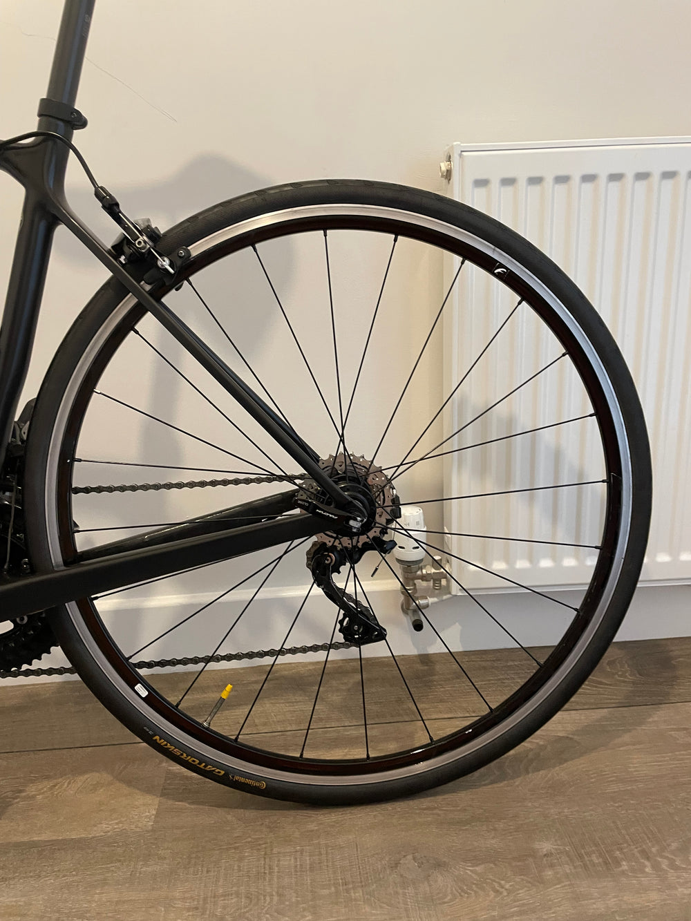 Canyon Endurace CF 7 2020