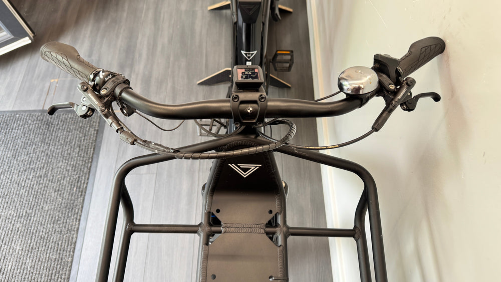 Vaast E 1 Rohloff E14 gears 500Wh Amazon
