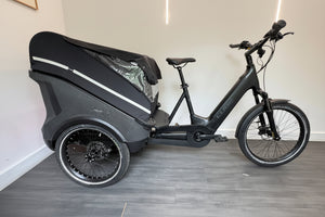 Cube Trike Family 750Wh Cargo In Swamp