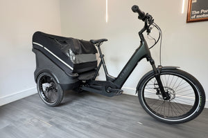 Cube Trike Family 750Wh Cargo In Swamp