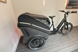 Cube Trike Family 750Wh Cargo In Swamp