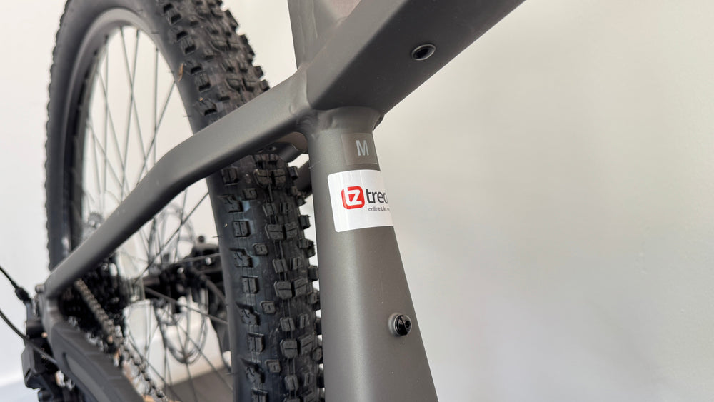 Trek Powerfly+ 4 Gen 5 120Nm Mercury Power Surge