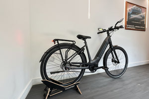 Gazelle Ultimate C5 HMB Belt Drive 500Wh
