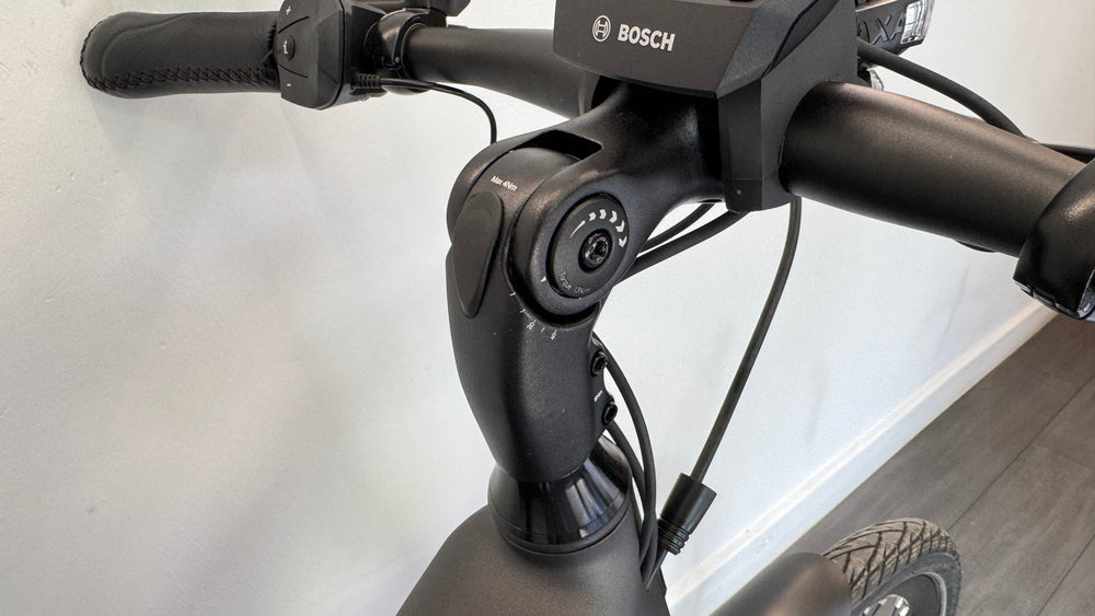 Gazelle Ultimate C5 HMB Belt Drive 500Wh