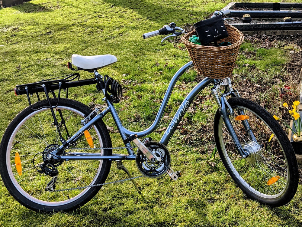 Ϟ Electra Townie 21D 2020