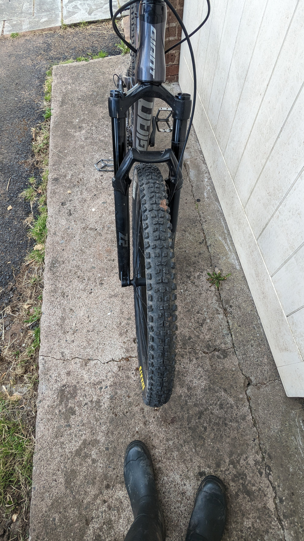 Giant Trance 29 2 2022