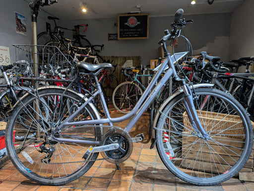 Raleigh Pioneer hybrid