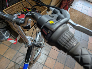 Raleigh Activ fold A6