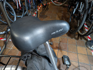 Raleigh Activ fold A6