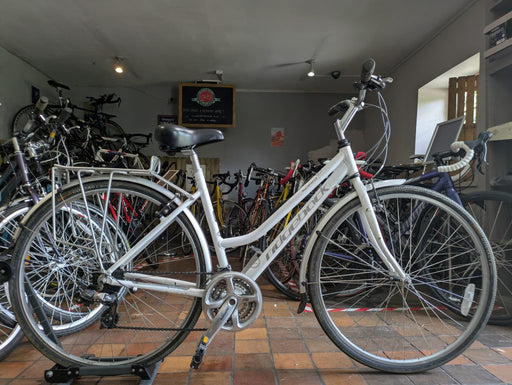 Ridgeback Speed hybrid