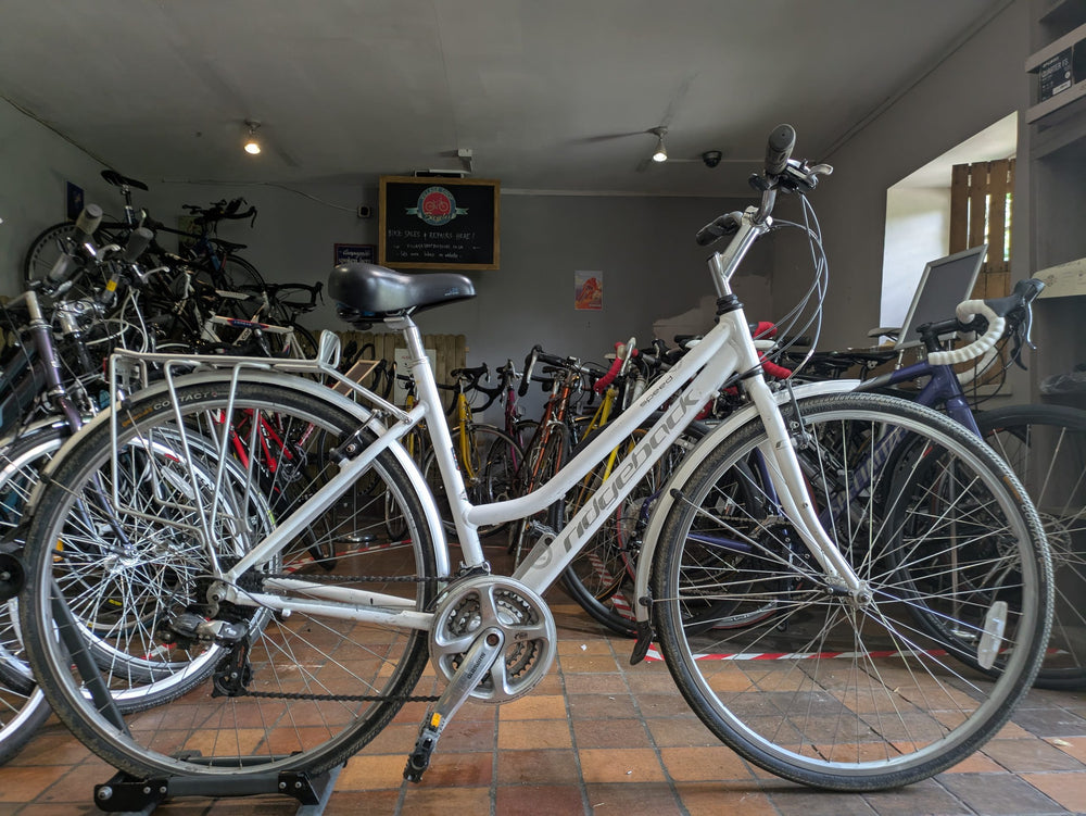 Ridgeback Speed hybrid