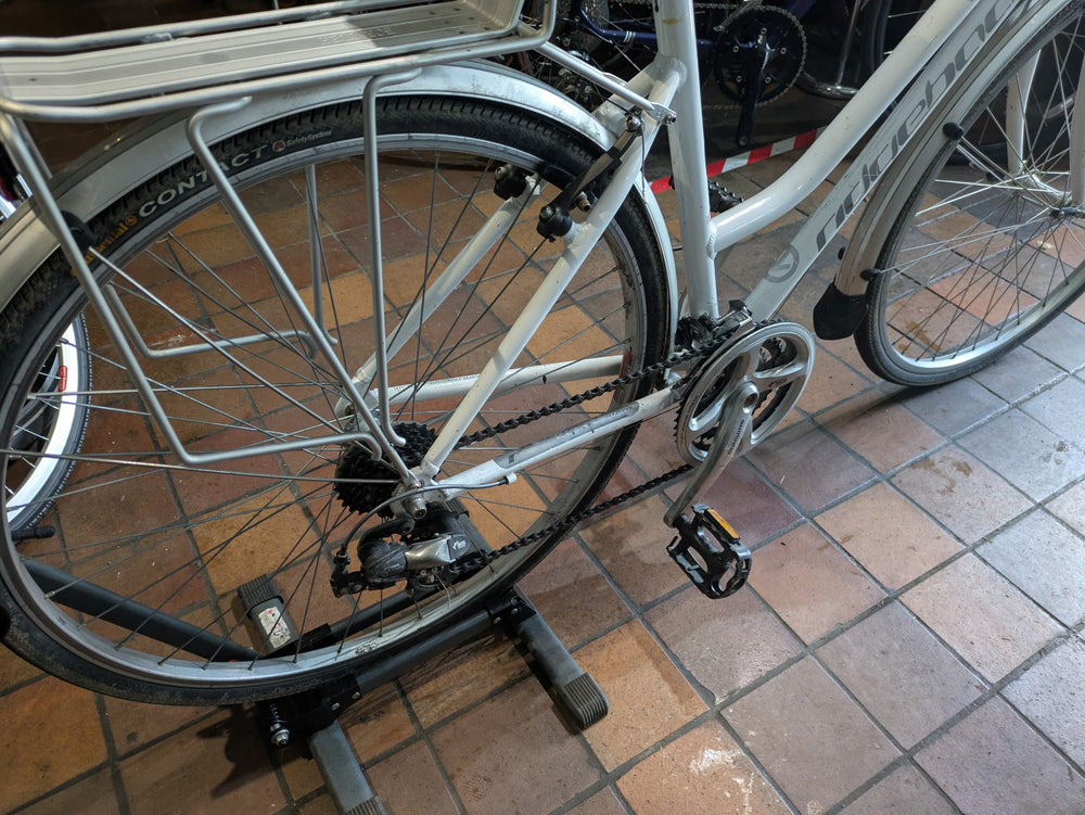 Ridgeback Speed hybrid