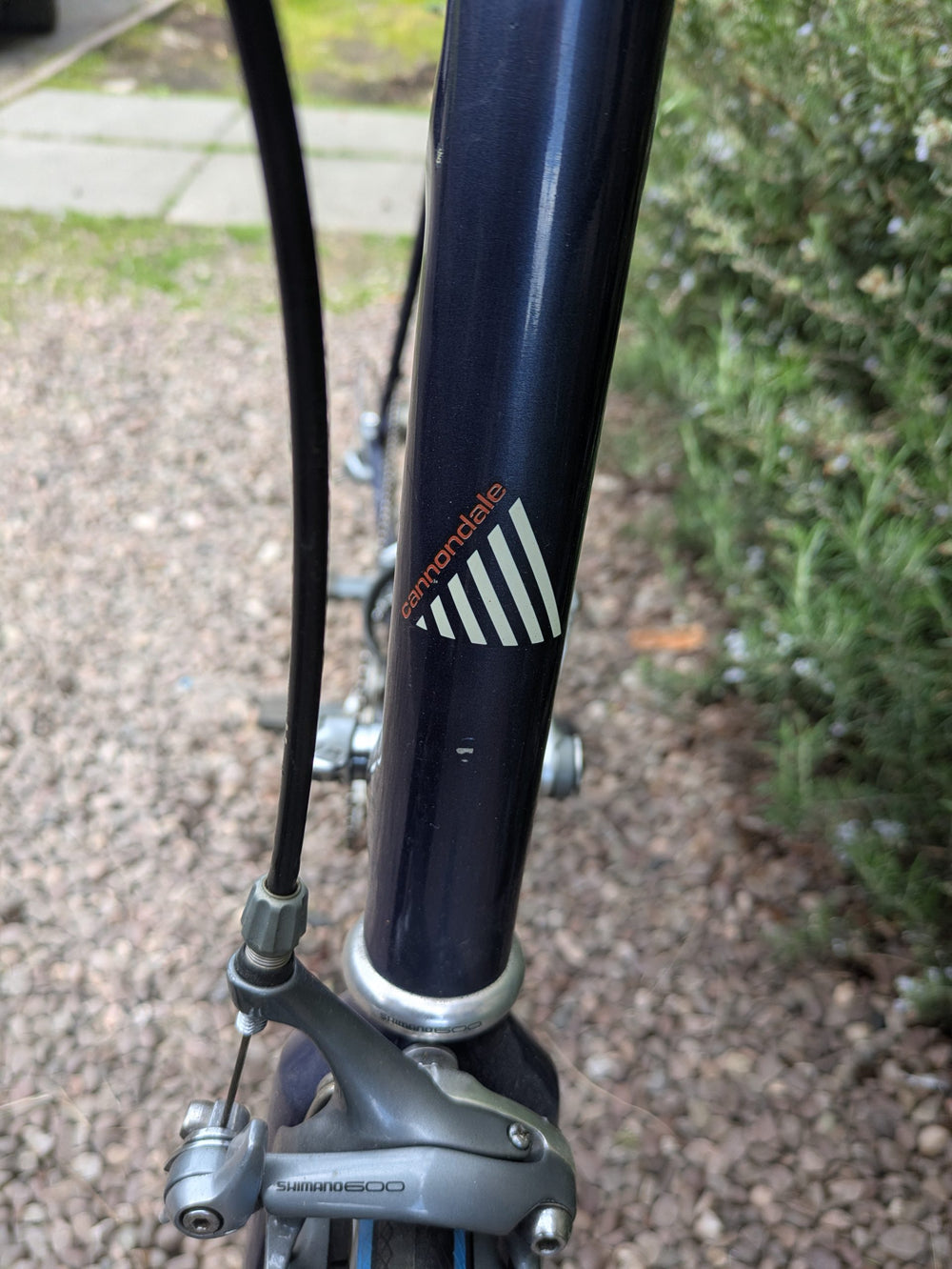 Cannondale Shimano 600 road XXL
