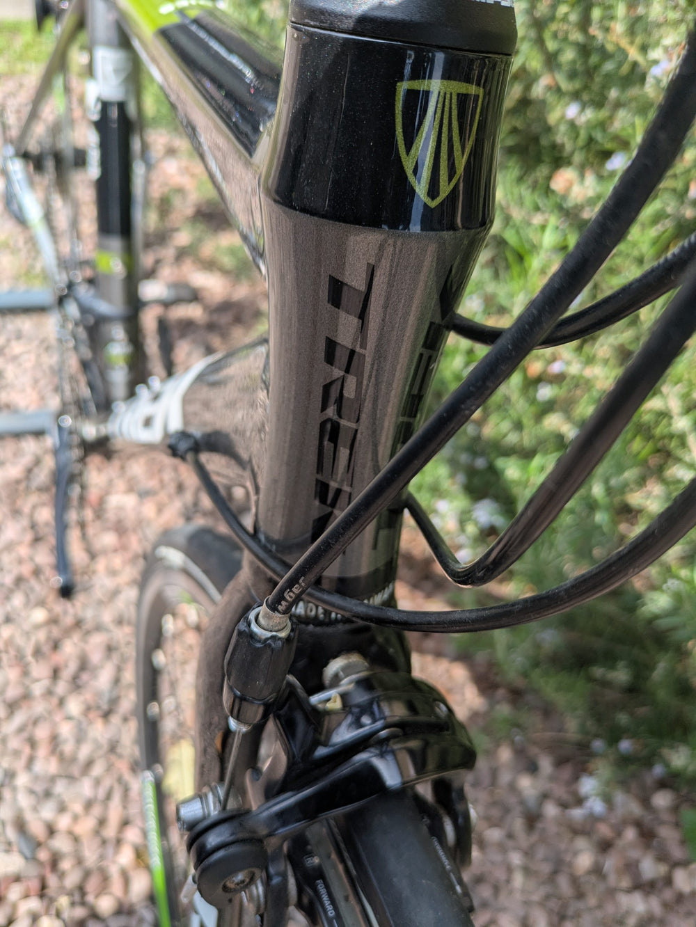 Trek Lexa series SLX road Shimano 105
