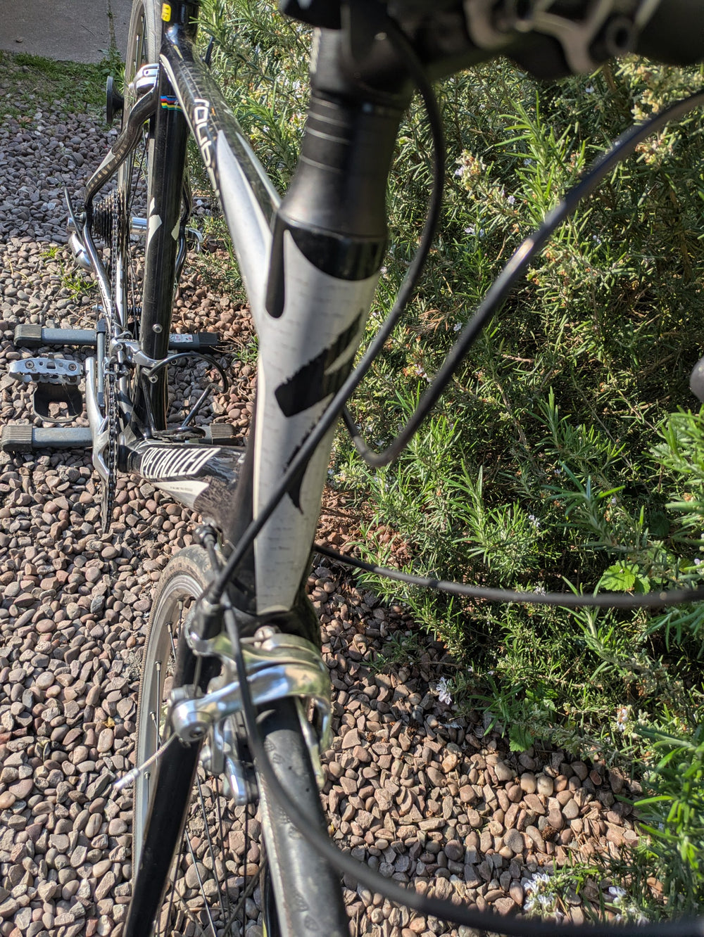 Specialized Roubaix Elite Shimano 105 Frame