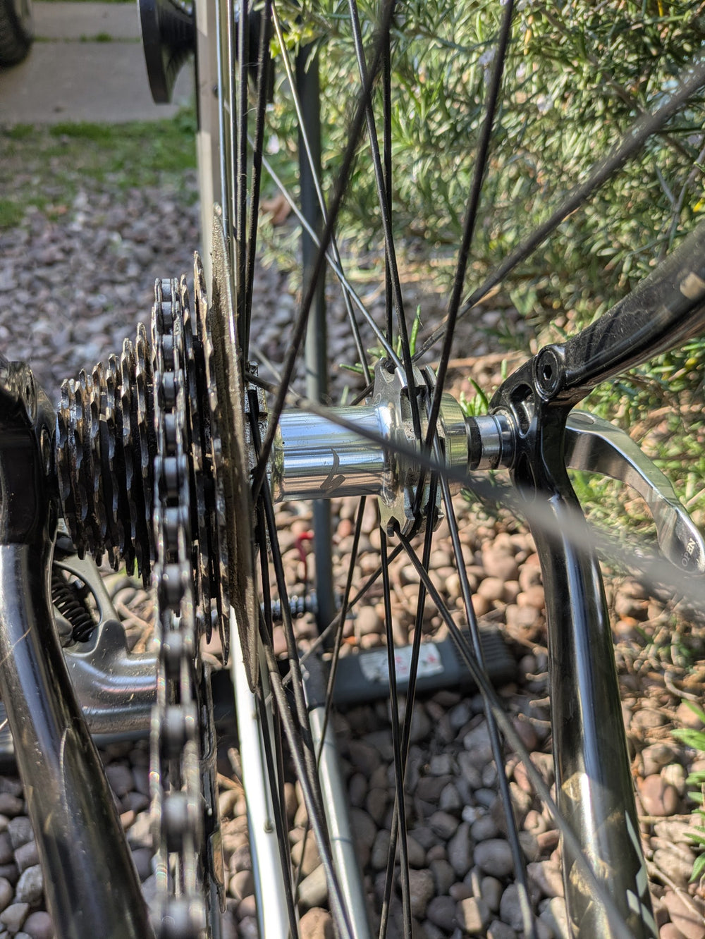Specialized Roubaix Elite Shimano 105 Frame