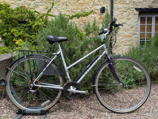 Raleigh Pioneer Endeavour