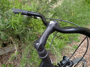 Giant Tourer Shimano Nexus