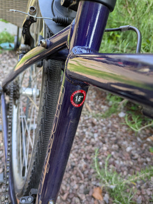 Carrera Crossfire 2 commuter/hybrid