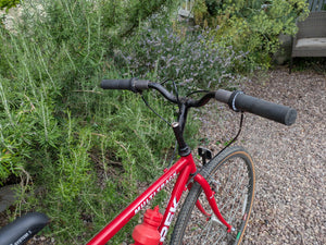 Trek Multitrack
