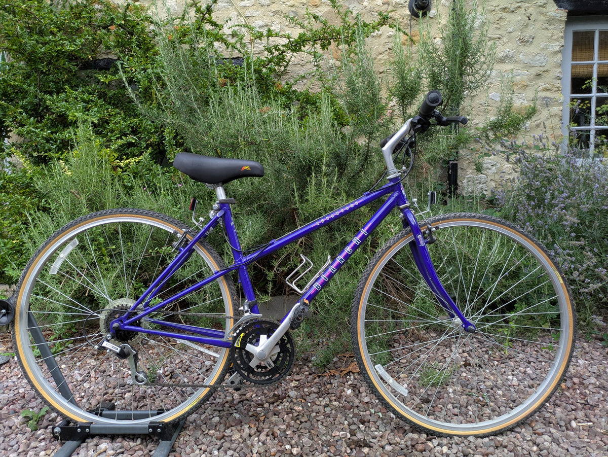 Bianchi Advantage commuter