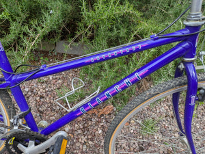 Bianchi Advantage commuter