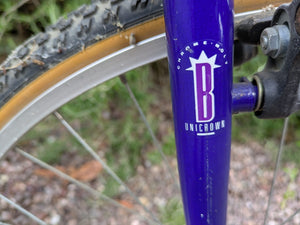 Bianchi Advantage commuter