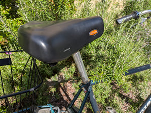 Gazelle Avignon Cromoly