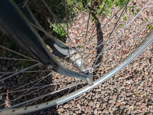 Gazelle Avignon Cromoly