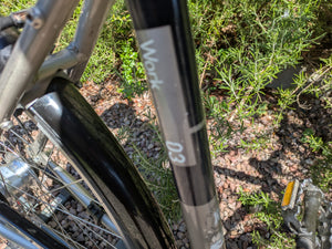 Specialized Globe