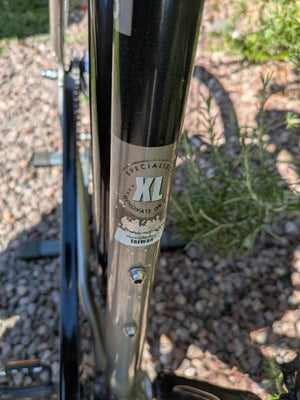 Specialized Globe