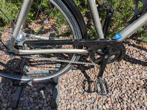 Specialized Globe