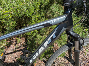 Giant Roam