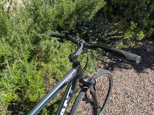 Giant Roam