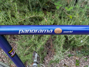 Ridgeback Panorama World Reynolds 725