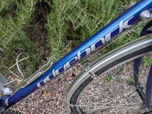 Ridgeback Panorama World Reynolds 725